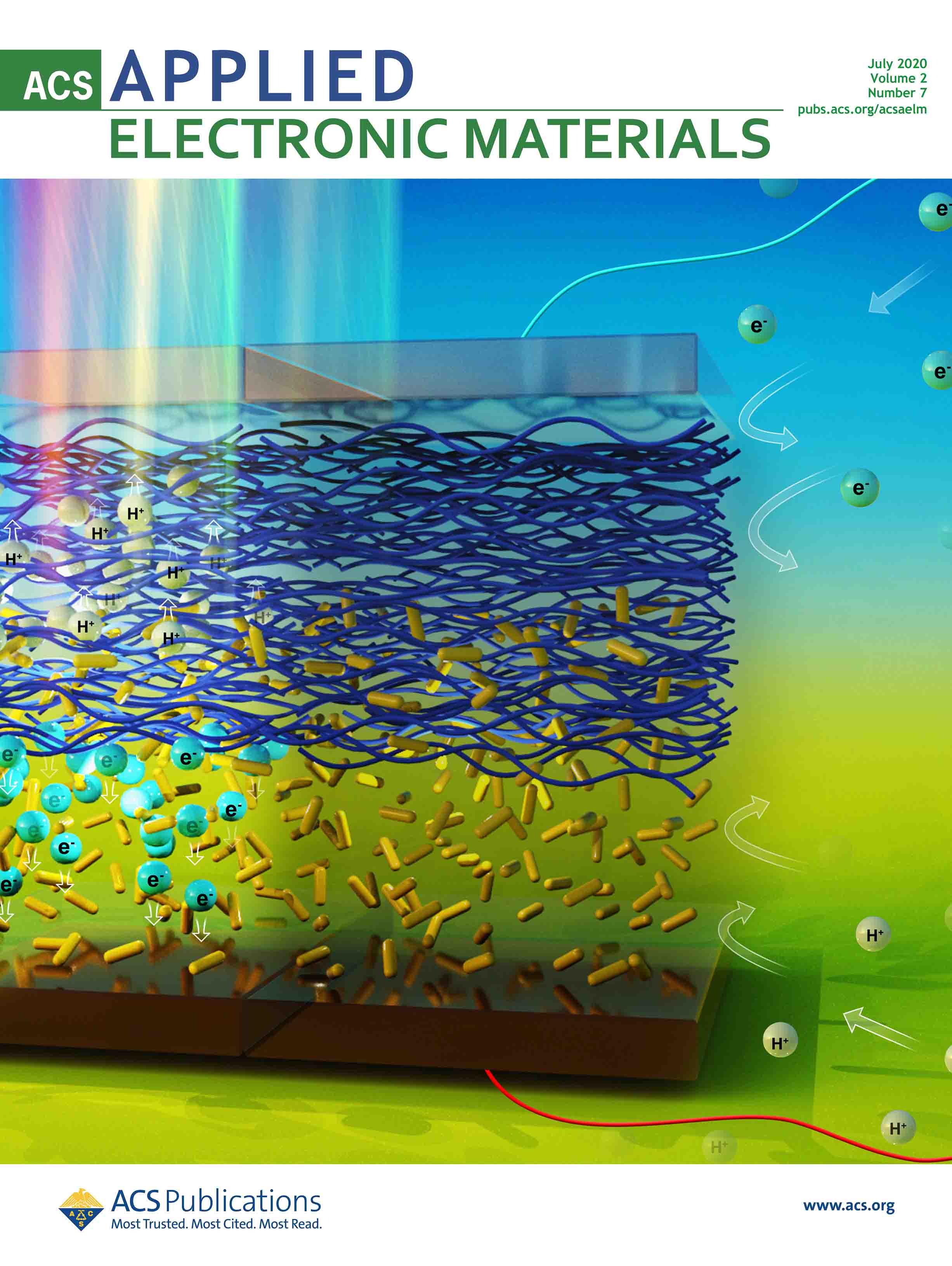 ACS系列 期刊作品