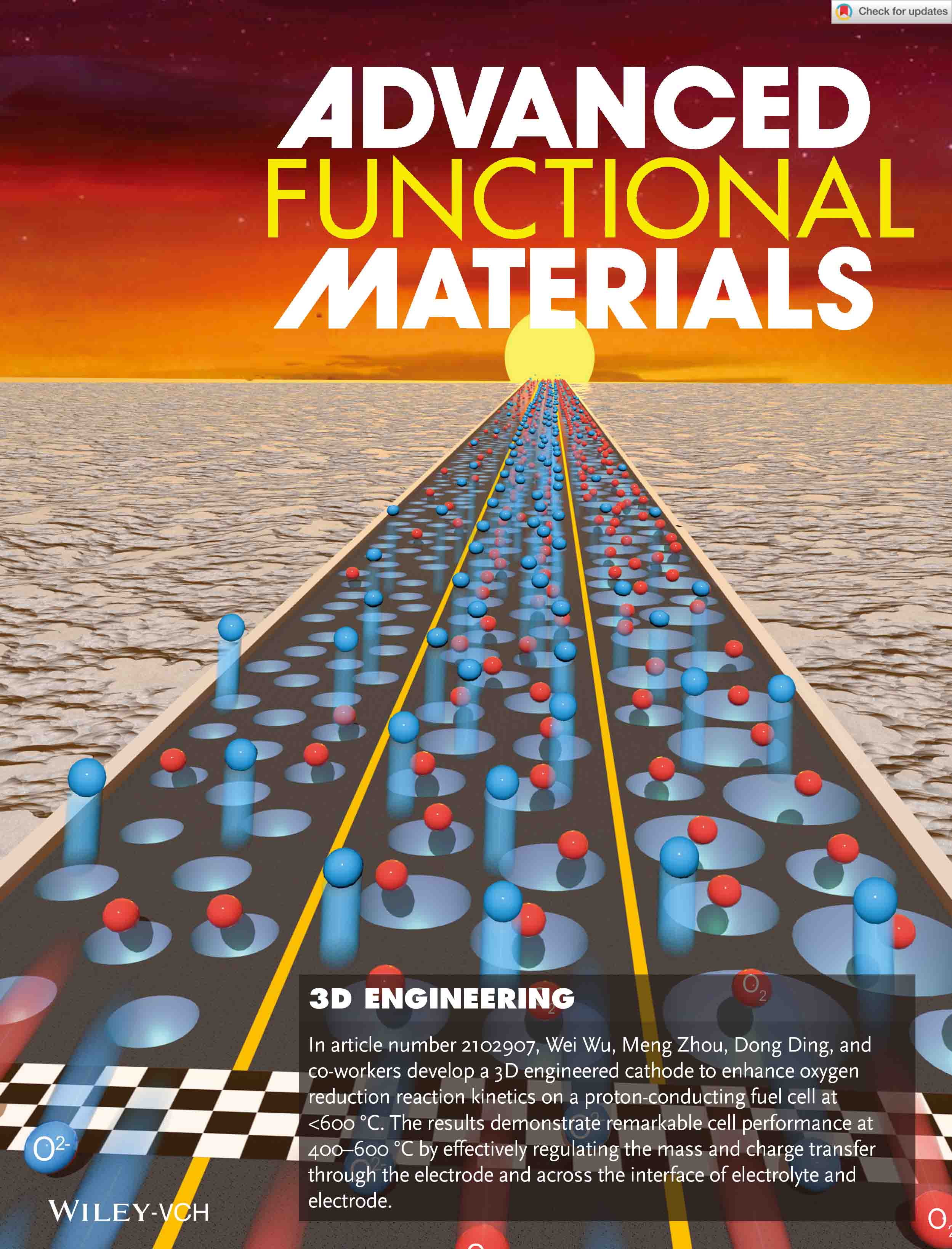 Wiley系列 期刊作品