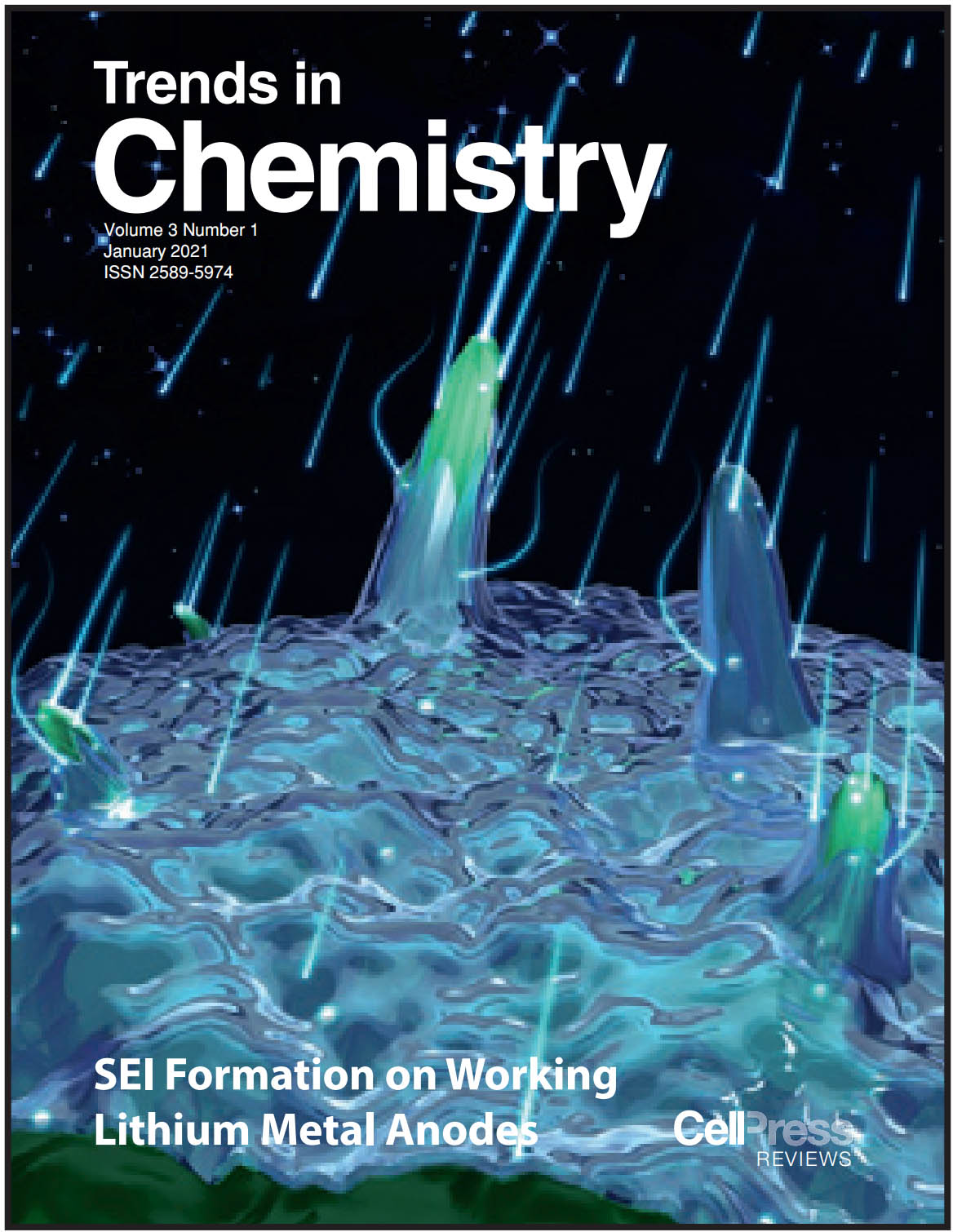 NSC系列 期刊作品