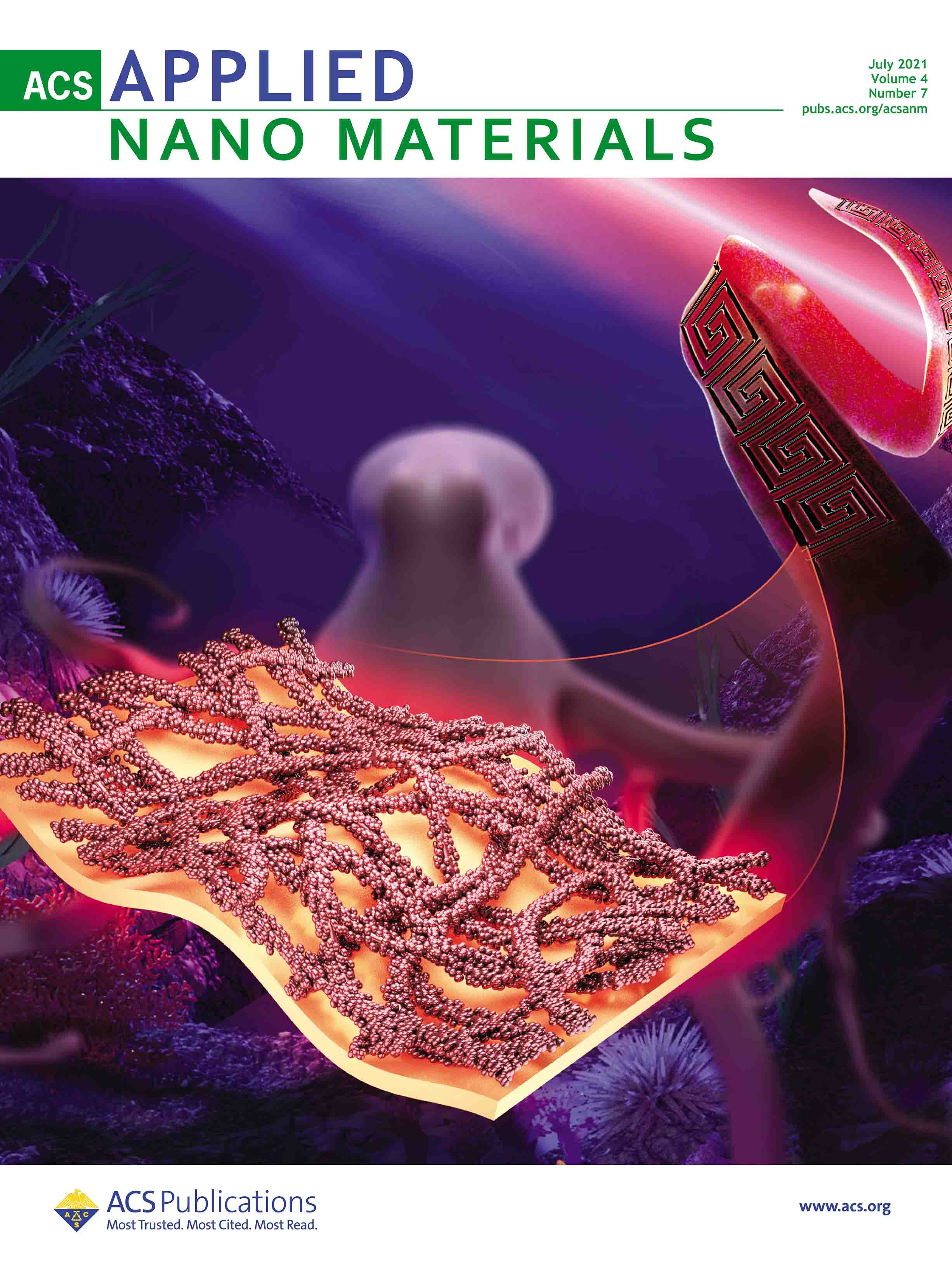 ACS系列 期刊作品