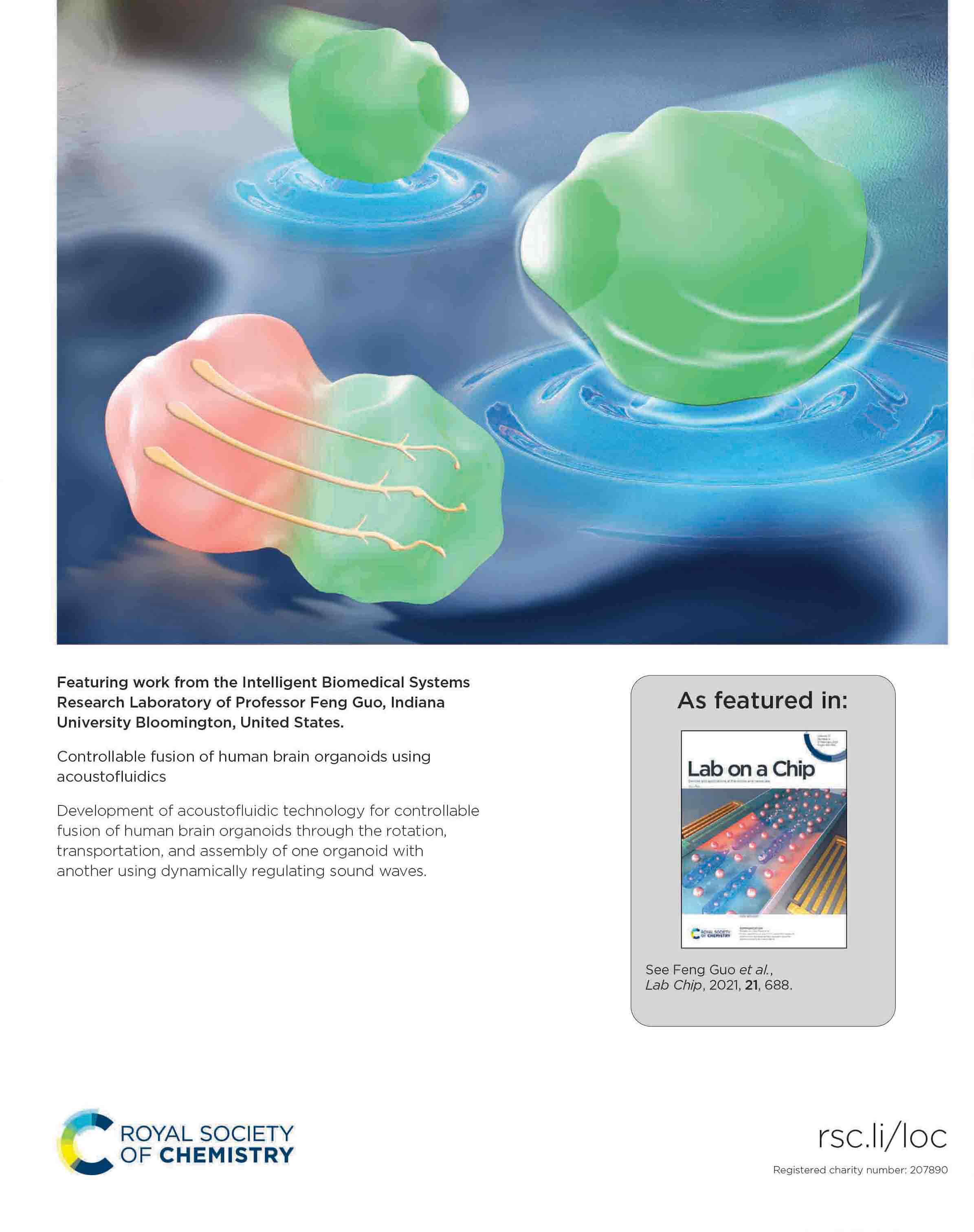 RSC系列 期刊作品