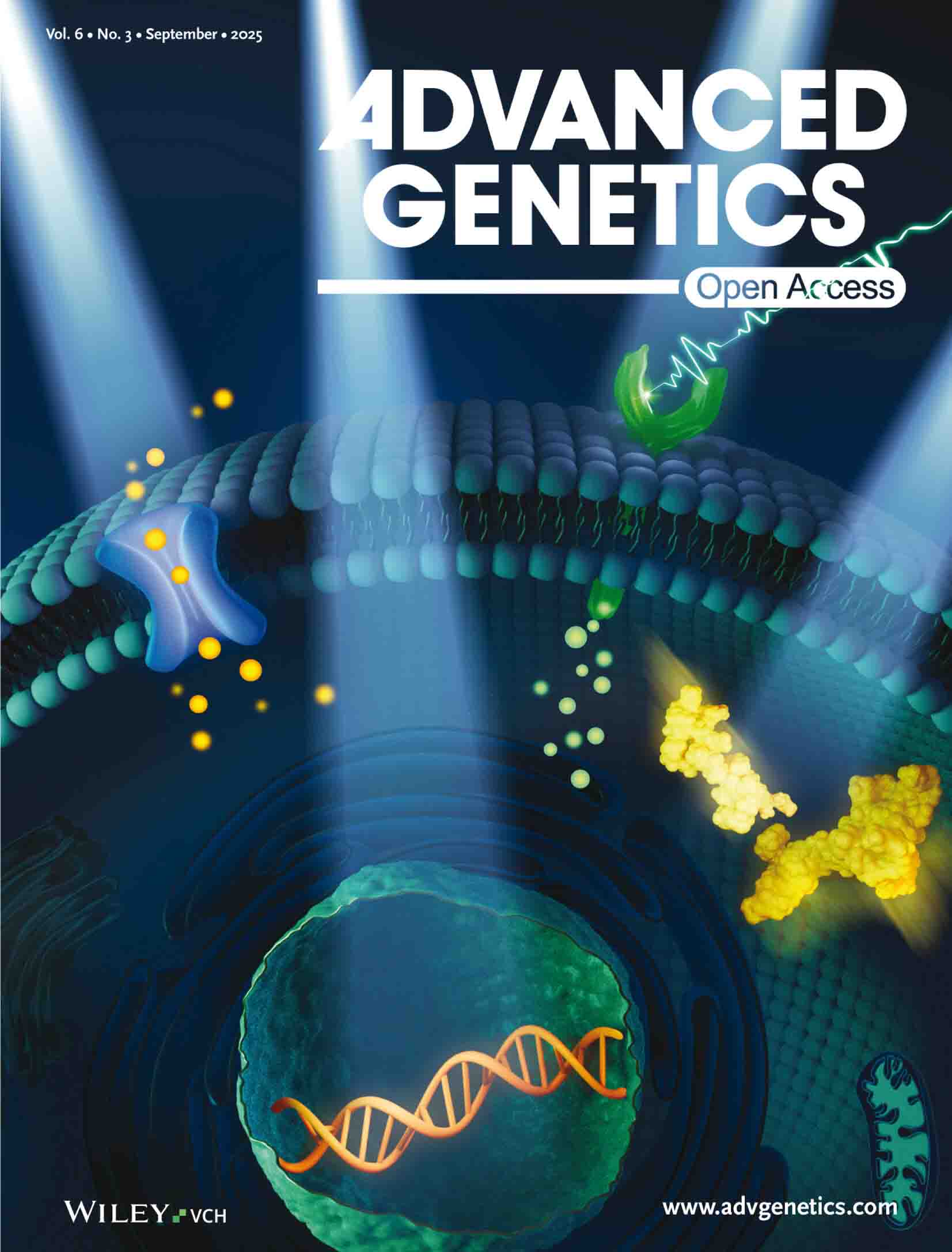 Wiley系列 期刊作品