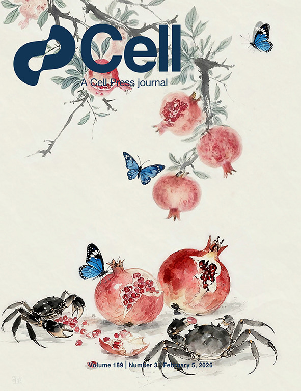 Cell期刊 期刊作品