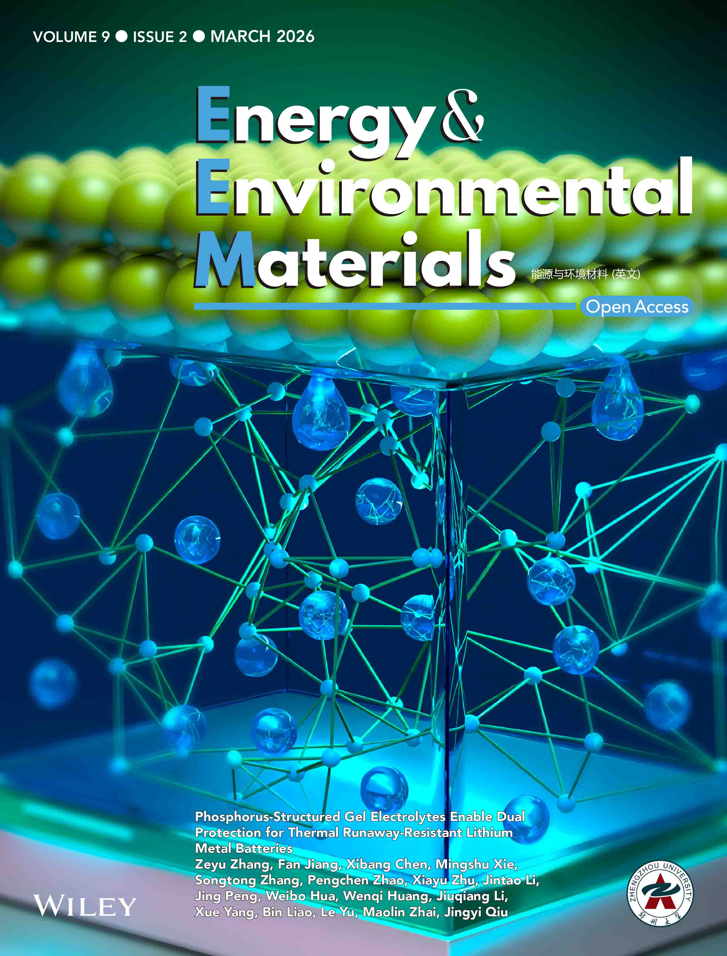 Wiley系列 期刊作品